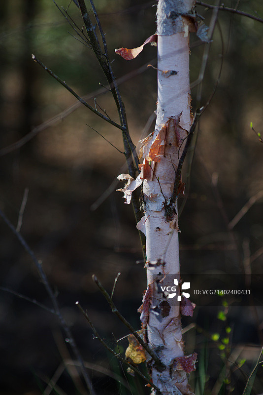 四月巴斯湖周边图片素材