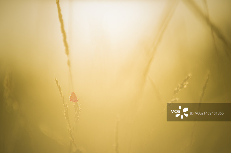 匈牙利埃斯泰尔戈姆图片素材