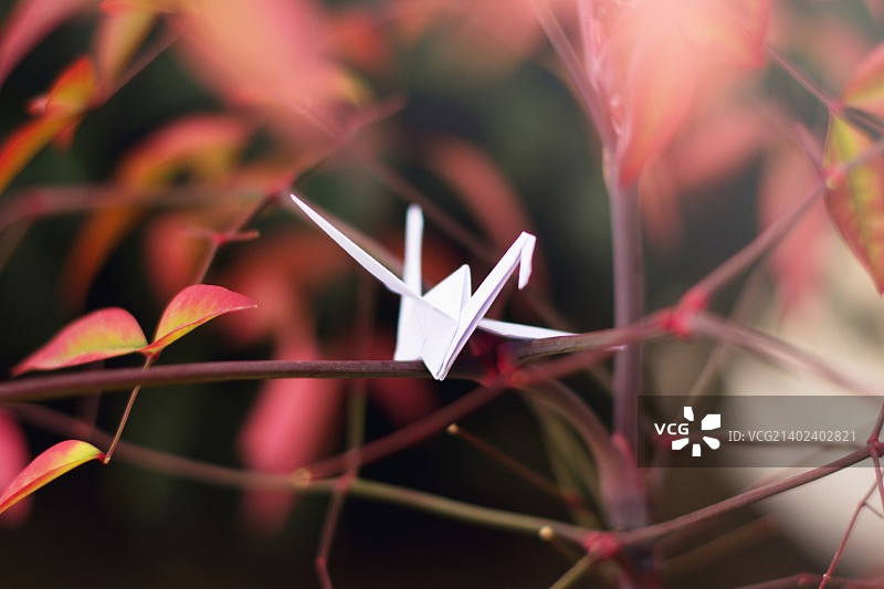 飞走No. 2图片素材