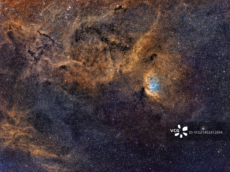 天鹅座星座：郁金香星云图片素材