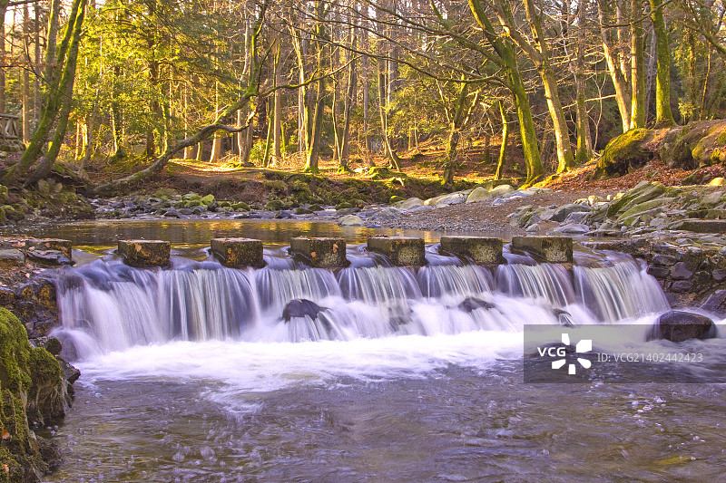 塔利莫尔森林公园的踏脚石图片素材