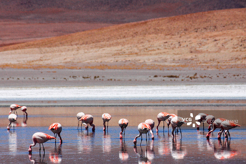 低下头图片素材