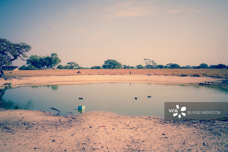 塞内加尔-卡萨芒斯-非洲-2014年图片素材