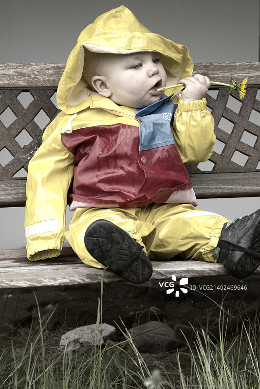 蒲公英的味道图片素材