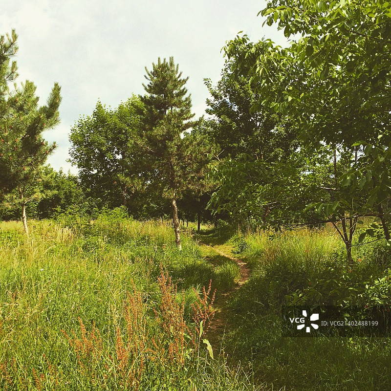 本周的选择：十字路口图片素材