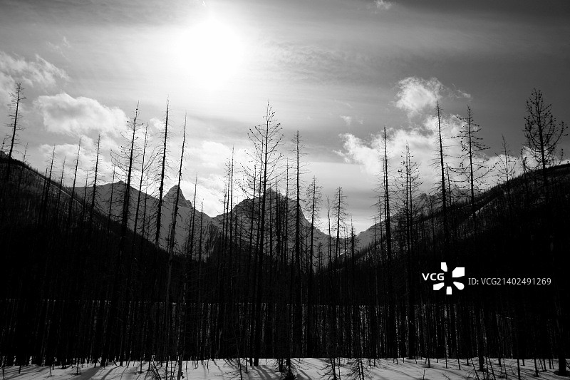 加拿大落基山脉图片素材