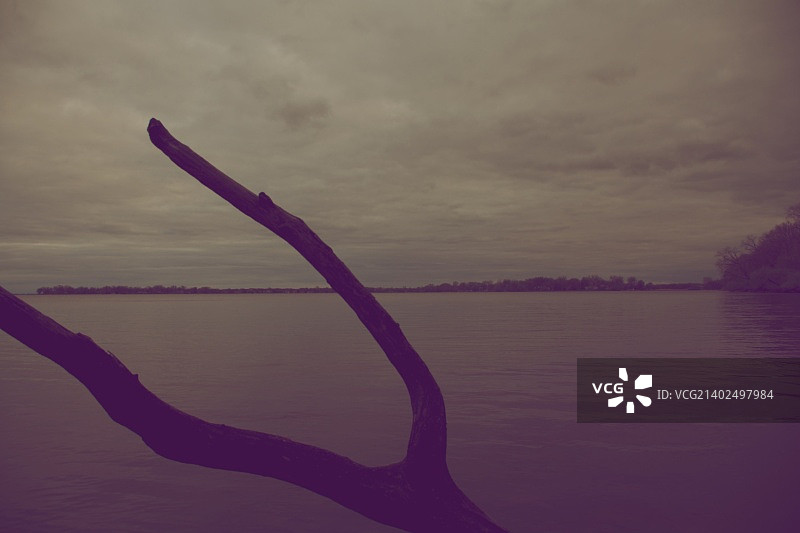 双齿？图片素材