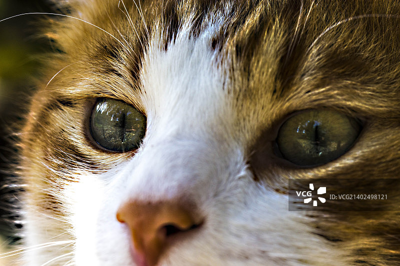 眼中的天堂图片素材