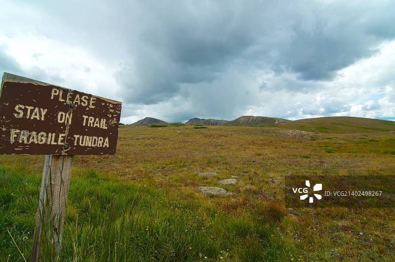 脆弱的苔原图片素材