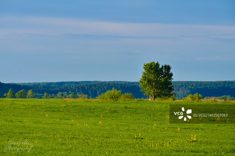 绿色托木斯克图片素材