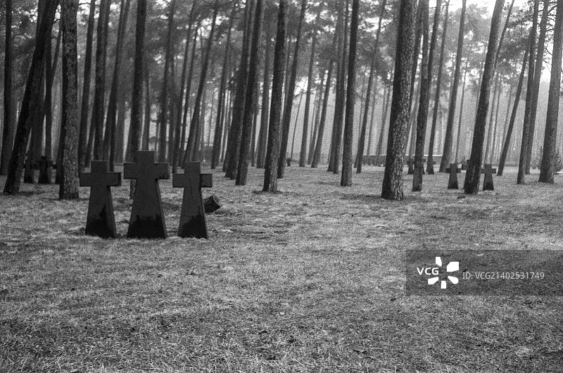 克莱佩达图片素材