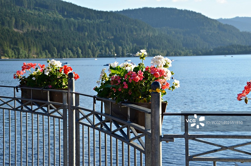 蒂蒂湖图片素材