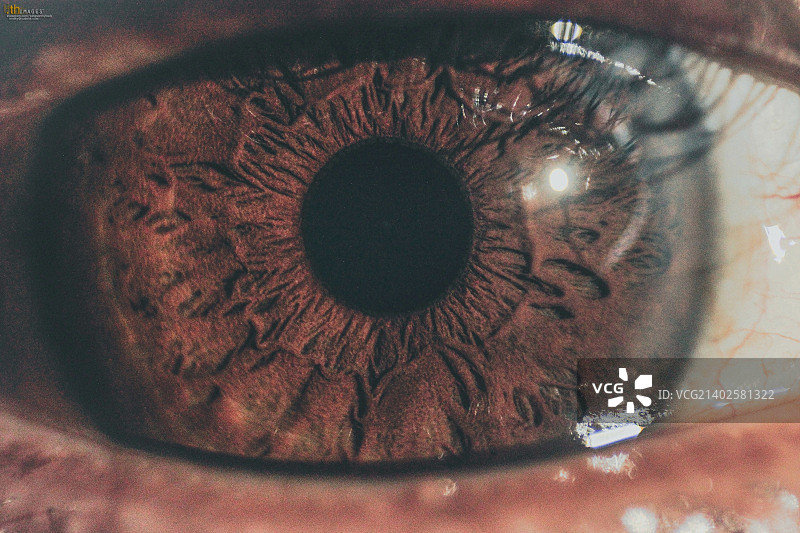 作品集1图片素材