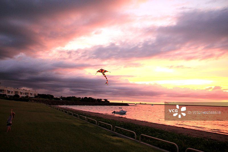 寂静的鸢图片素材