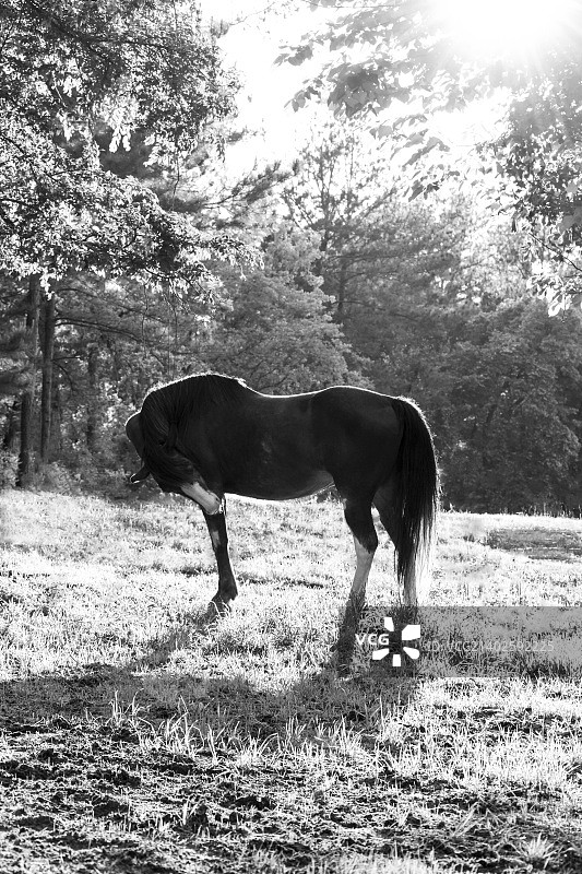 长发公主图片素材