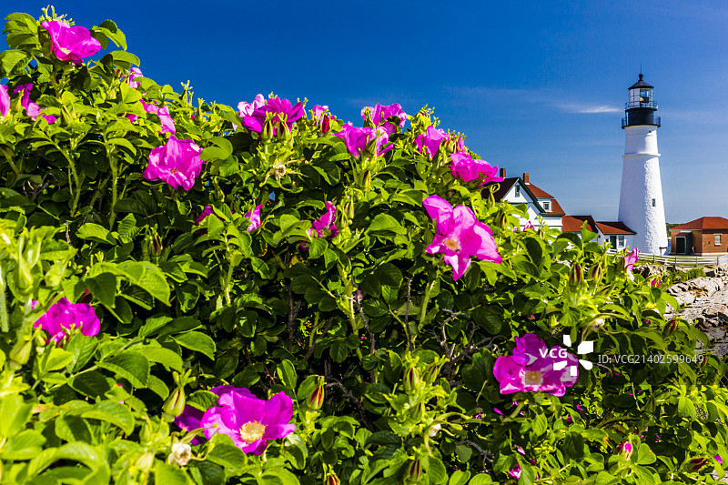 波特兰岬灯塔图片素材