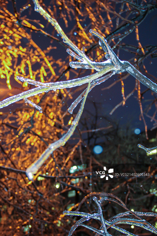 俄罗斯皇村图片素材