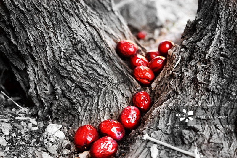 约旦伊尔比德中东城市风光图片素材