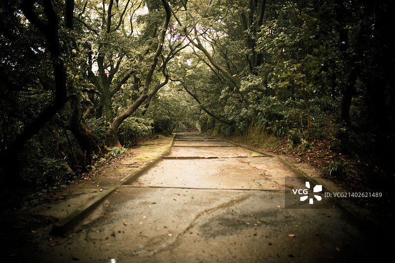 日本鹿儿岛图片素材