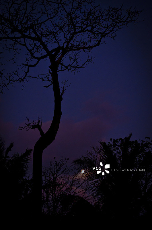 安达曼和尼科巴群岛旅行日记图片素材