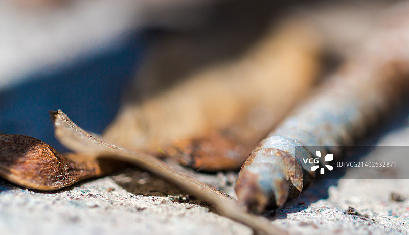 生锈的螺丝钉图片素材