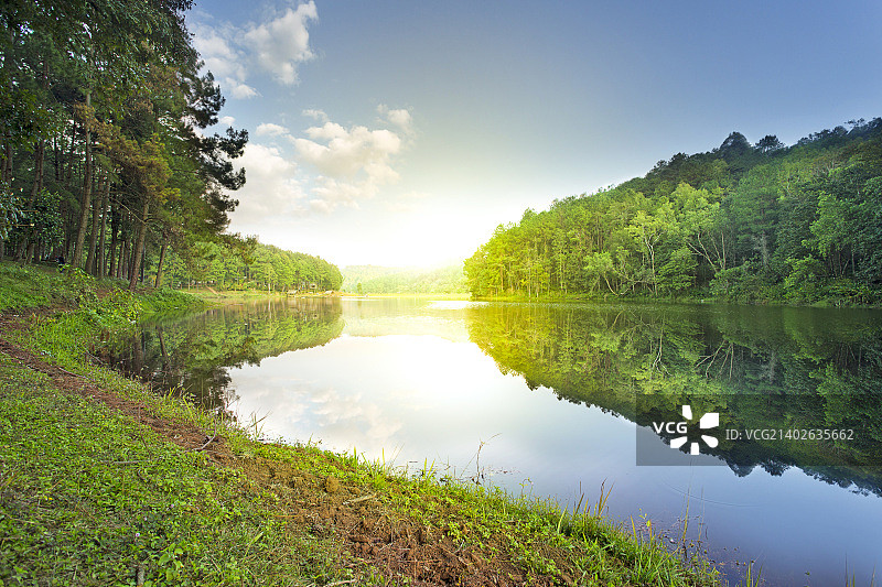 泰国夜丰颂府Pang-ung松树林公园图片素材