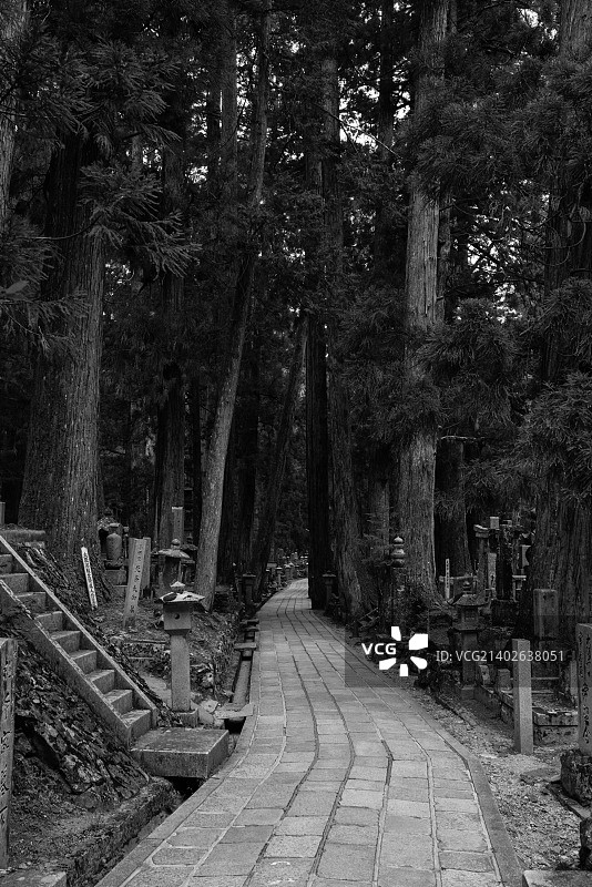 日本香山图片素材