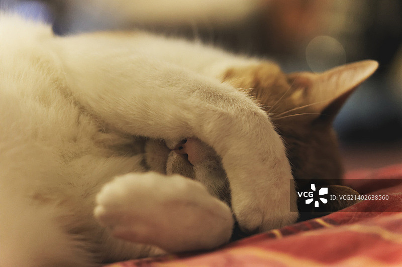 法国克莱蒙费朗图片素材