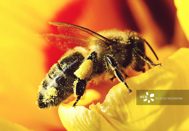 喂食时间图片素材