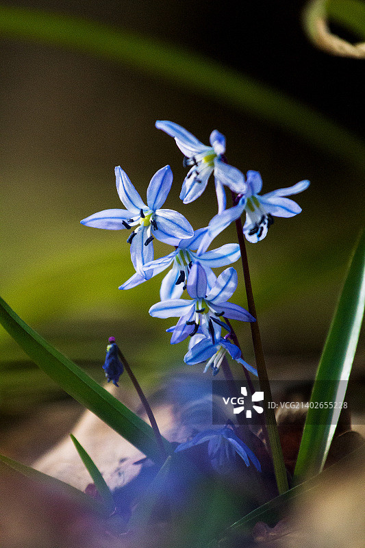 俄罗斯别尔哥罗德图片素材