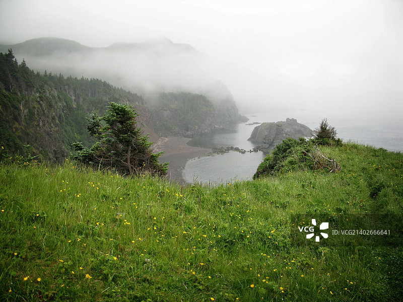 纽芬兰格罗斯莫恩绿色花园小径图片素材