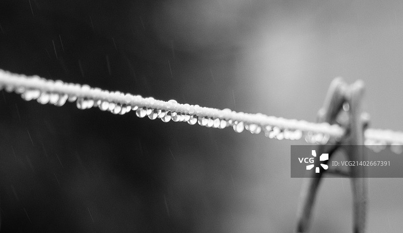 四月小阵雨图片素材