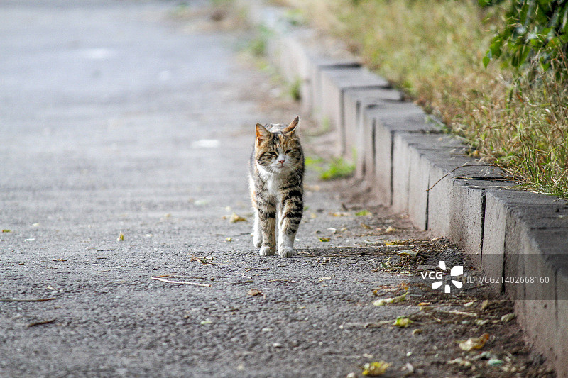 亚美尼亚埃里温风光图片素材