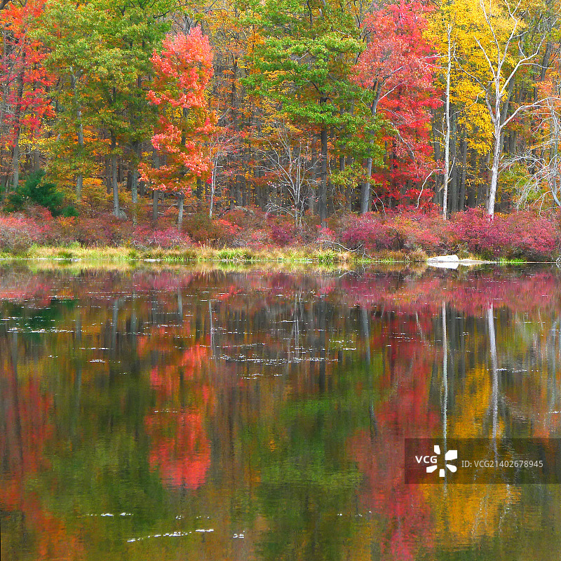 哈里曼州立公园，纽约6019.405图片素材