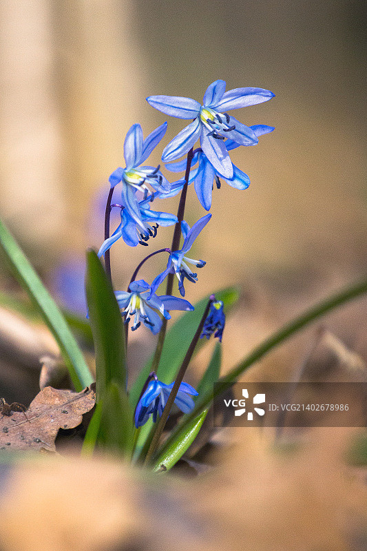 俄罗斯别尔哥罗德图片素材