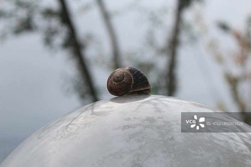 Anton M.G. Germano拍摄作品图片素材