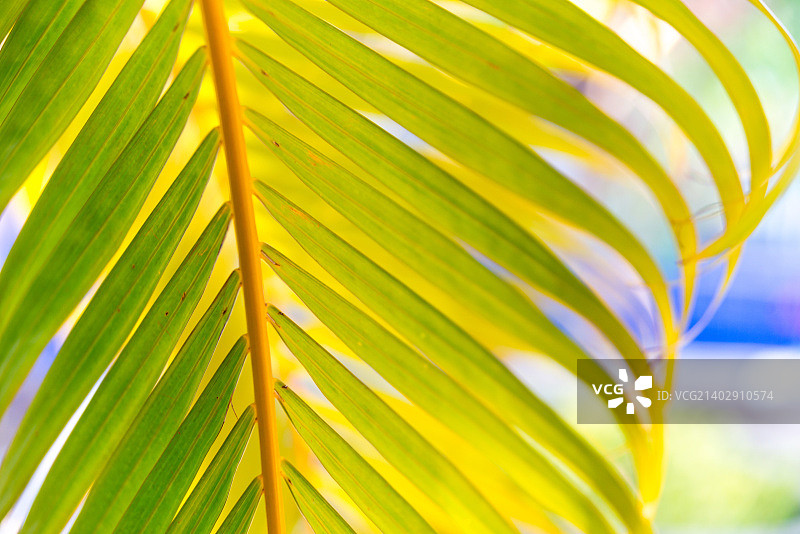 卡隆海滩，泰国图片素材