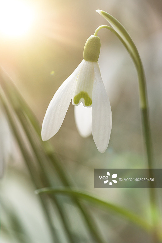 奥地利格拉茨图片素材