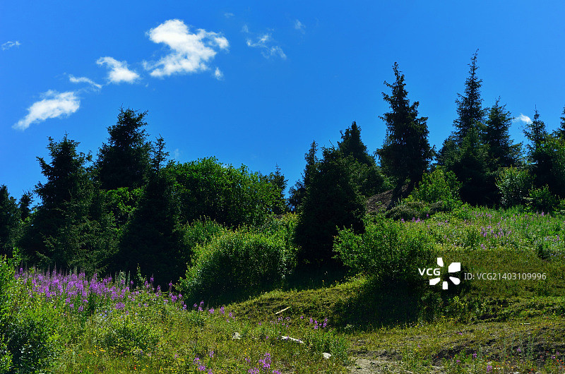 夏日Shymbulak 1图片素材