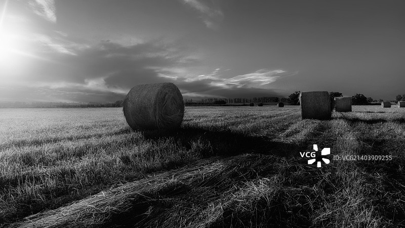 收获之后图片素材