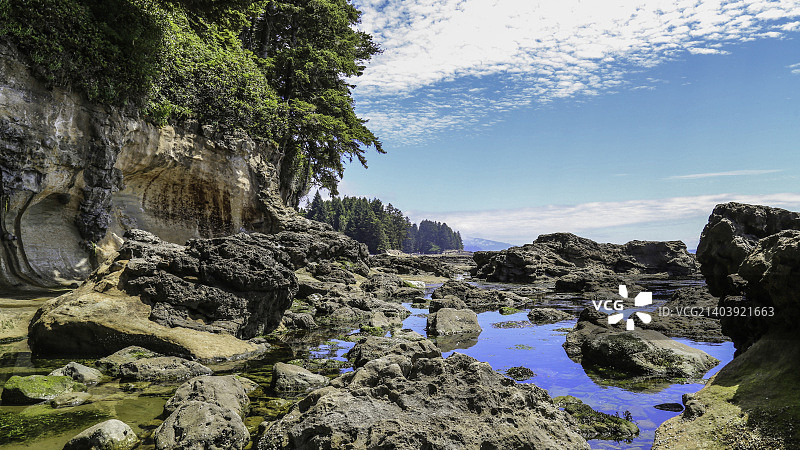 加拿大温哥华岛植物海滩图片素材