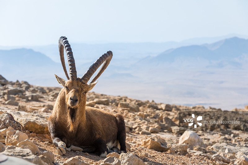 参观拉蒙地质公园图片素材