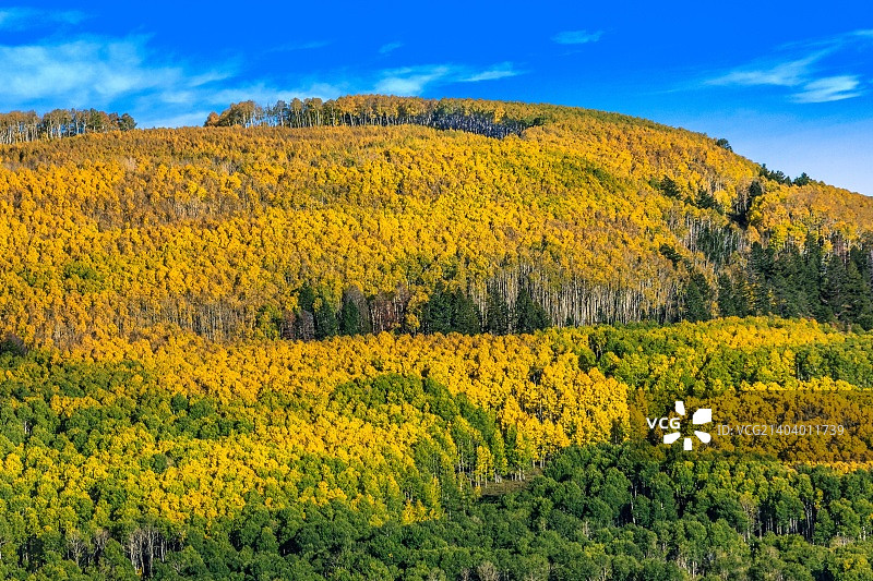 科罗拉多州90号公路Uncompahgre国家森林图片素材