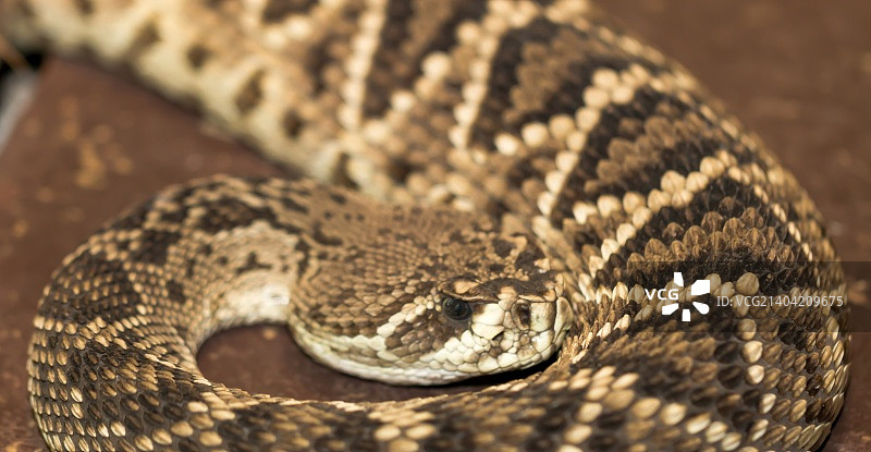 邪恶之眼图片素材