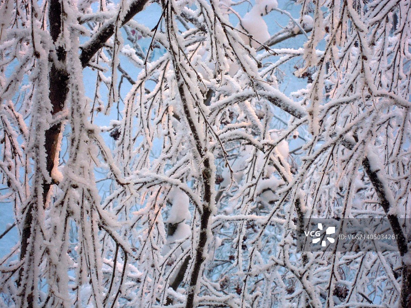 俄罗斯基洛夫斯克图片素材