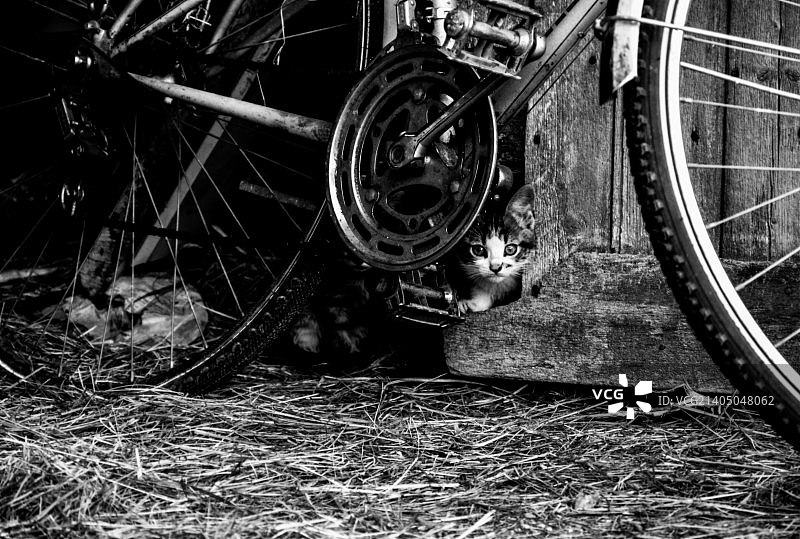 无标题的图片素材