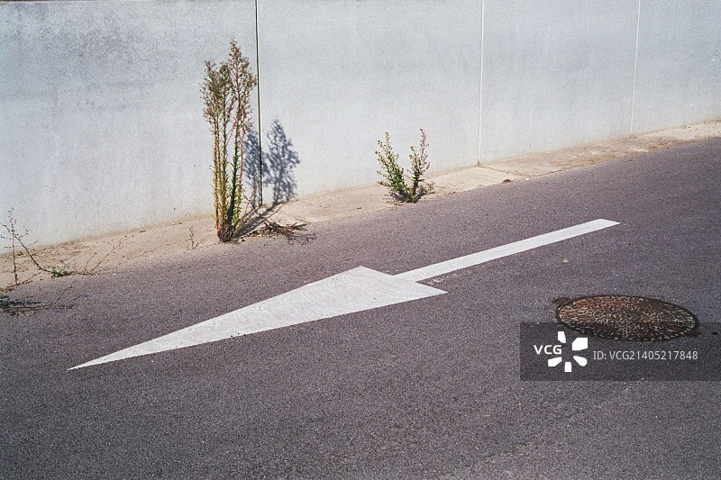 蒙彼利埃/2014图片素材