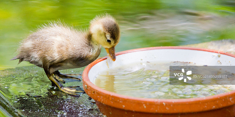 奥地利比绍夫斯霍芬图片素材