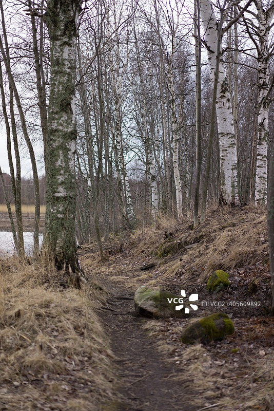 芬兰于韦斯屈莱图片素材