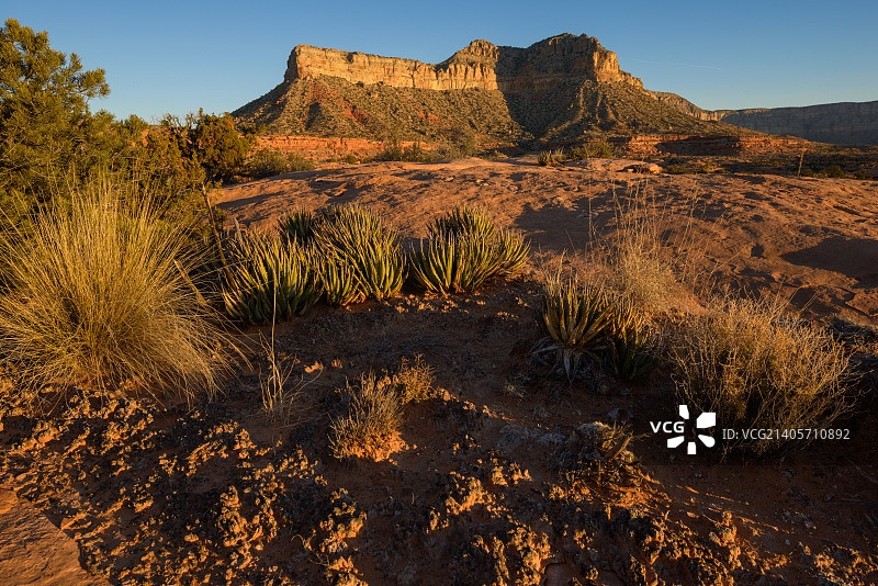 托罗威普角和隐生土壤日出图片素材